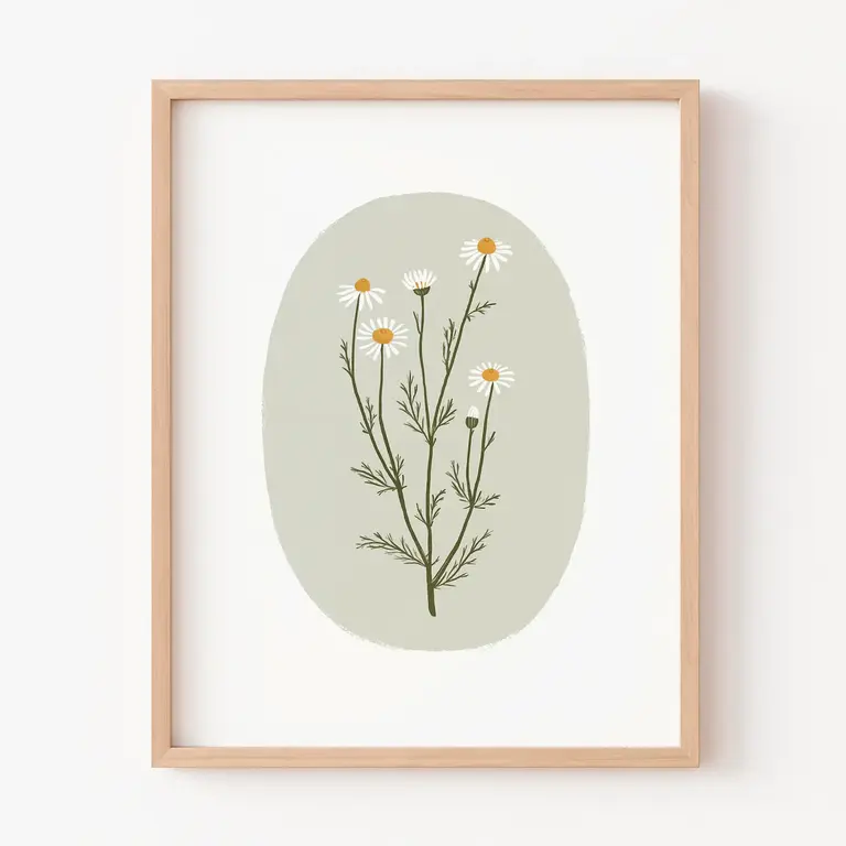 PAPIER FLEURI CO. AFFICHE 8 X 10 - CAMOMILLE SAUVAGE