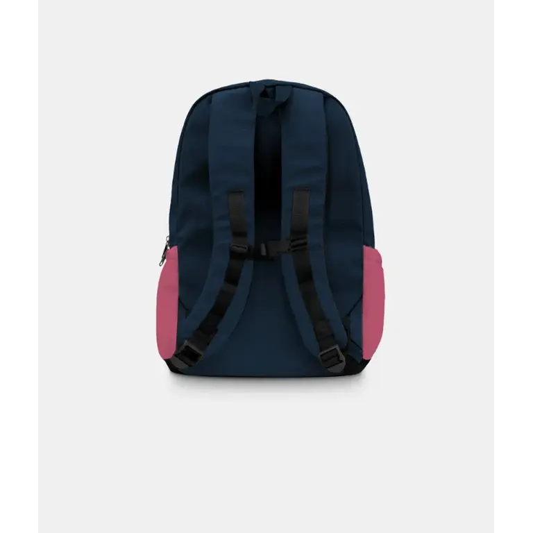 HEADSTER KIDS COLORBLOCK 26L BACKPACK - VINTAGE ROSE