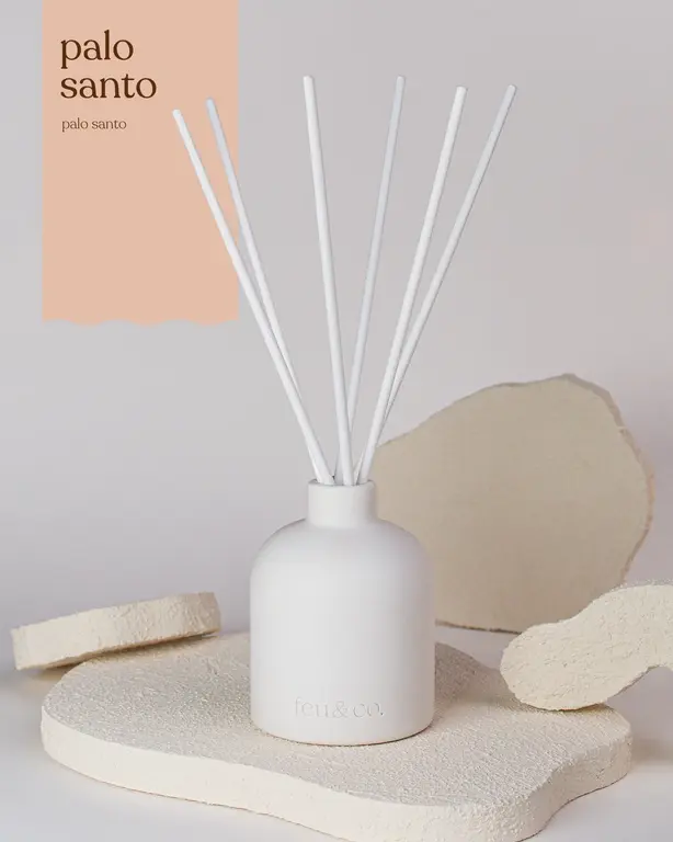 FEU & CO. DIFFUSEUR À ROSEAUX - PALO SANTO