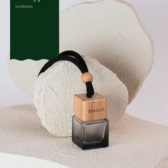 FEU & CO. DIFFUSEUR POUR LA VOITURE - EUCALYPTUS