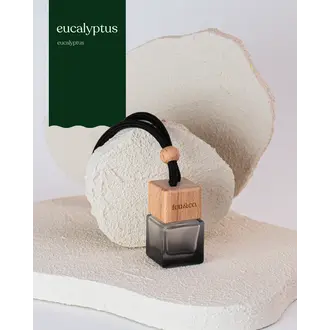 FEU & CO. DIFFUSEUR POUR LA VOITURE - EUCALYPTUS