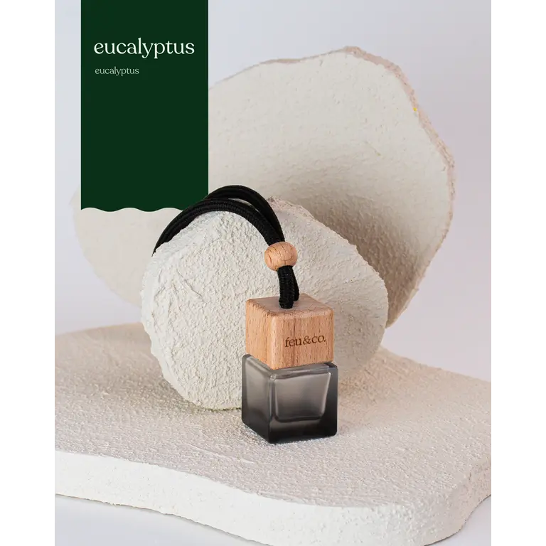 FEU & CO. DIFFUSEUR POUR LA VOITURE - EUCALYPTUS