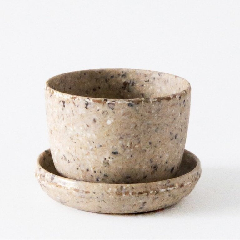 MANO VERDE MINIPOTS DE SEMENCES - LAVANDE