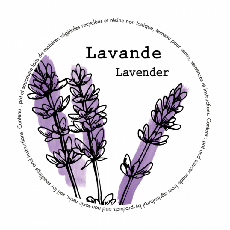 MANO VERDE MINIPOTS DE SEMENCES - LAVANDE