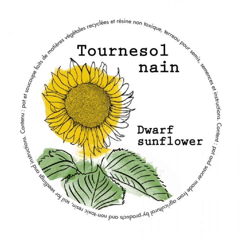 MANO VERDE MINIPOTS DE SEMENCES - TOURNESOL NAIN