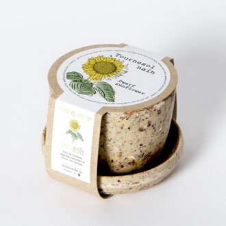 MANO VERDE MINIPOTS DE SEMENCES - TOURNESOL NAIN