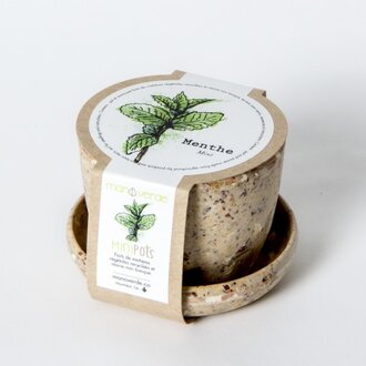 MANO VERDE MINIPOTS DE SEMENCES - MENTHE