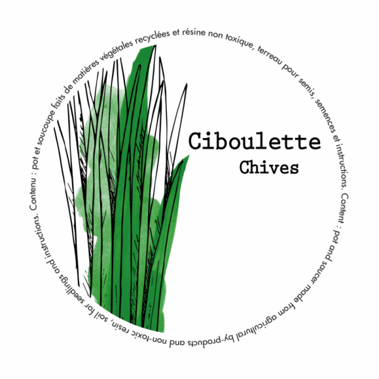 MANO VERDE MINIPOTS DE SEMENCES - CIBOULETTE