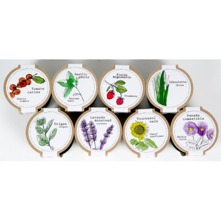 MANO VERDE MINIPOTS DE SEMENCES - FRAISE ALPINE
