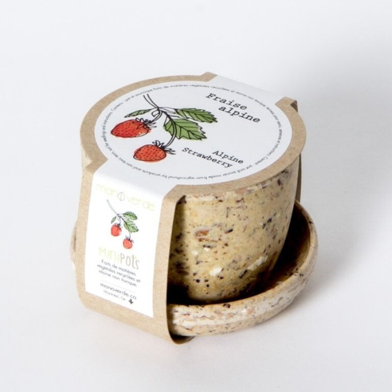 MANO VERDE MINIPOTS DE SEMENCES - FRAISE ALPINE