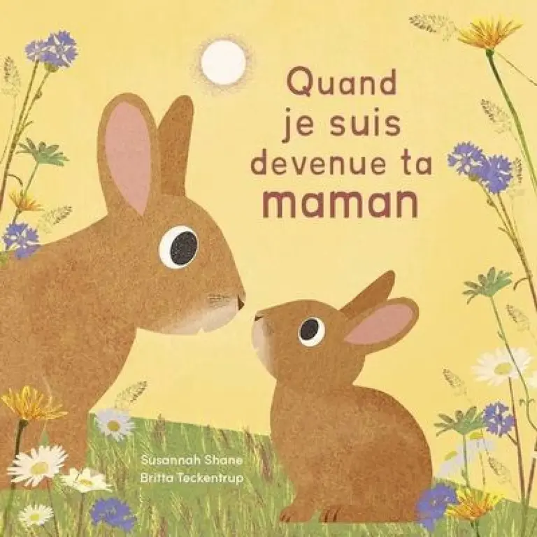 1,2,3 SOLEIL! LIVRE - QUAND JE SUIS DEVENU TA MAMAN
