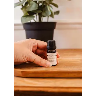 MIMI & AUGUST SCENTED OIL - EUCALIPTO