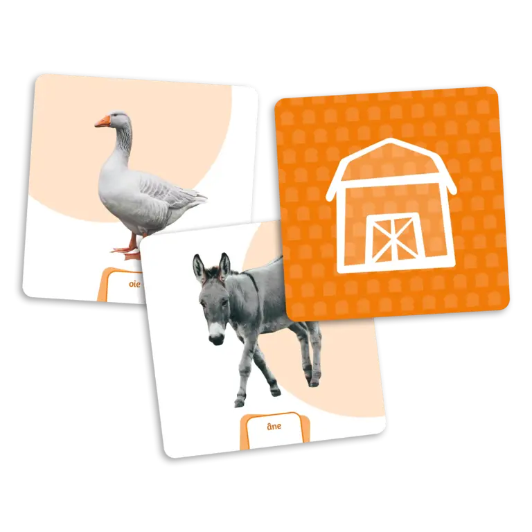 LE DÉ DES PREMIERS MOTS -  EXTENSION  ANIMAUX