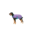 Weatherbeeta Weatherbeeta Dog Comfitec Windbreaker