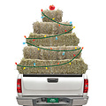 HHP Christmas Cards