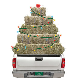 HHP Christmas Cards