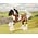 Breyer Breyer Gypsy Vanner