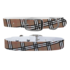 C4 C4 - Dog Collar