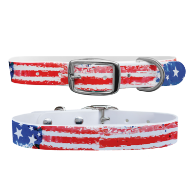C4 C4 - Dog Collar