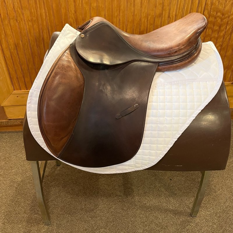 BRUNO DELGRANGE PJ Charlotte's Saddlery