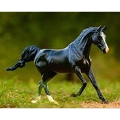 Breyer Breyer  KB Omega Fahim