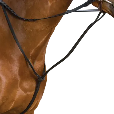 Wintec Standing Martingale