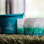 Gallagher's Water Gallagher's Water Original 2.1lbs - 12 Pack