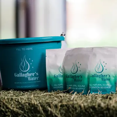 Gallagher's Water Gallagher's Water Original 2.1lbs - 12 Pack