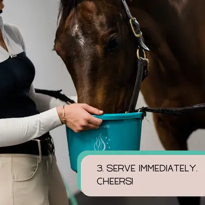 Gallagher's Water Gallagher's Water Original 2.1lbs - 12 Pack