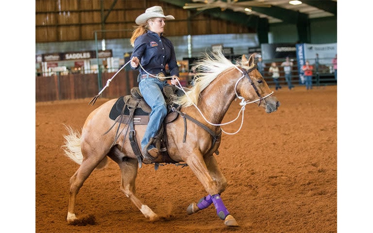 Tack Equipment – Downunder Horsemanship