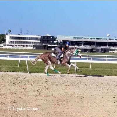 Breyer Breyer - Full Moon Rising | Thoroughbred
