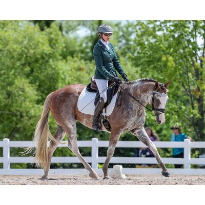 Breyer Breyer - Full Moon Rising | Thoroughbred