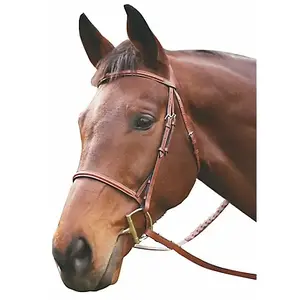 Henri de Rivel Advantage Fancy Raised Padded Bridle With Laced Reins "Pony"