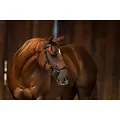 Rambo Horsewear Ireland - Rambo Micklem Original Multibridle