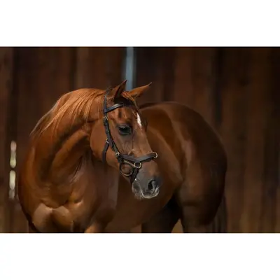 Rambo Horsewear Ireland - Rambo Micklem Original Multibridle