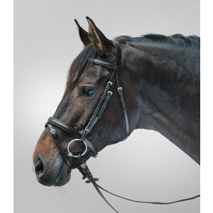 Waldhausen Waldhausen STAR Bridle Lifestyle