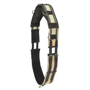 Camelot Camelot Web Training Surcingle Pony
