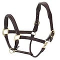 Ovation ATS Fancy Stitched Raised Padded Leather Halter Full