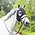 Fenwick Equestrian Fenwick Equestrian Liquid Titanium Mask