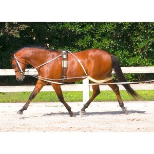Pessoa Pessoa Lunge System