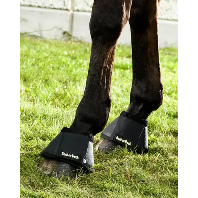 BOT Therapeutic Horse Bell Boots