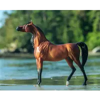 Breyer Breyer RD Marciea Bey