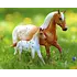 Breyer Breyer - Effortless Grace Horse & Foal Set (Retired)