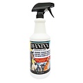 Banixx Horse & Pet Care for Fungal and Bacterial Infections 32Oz