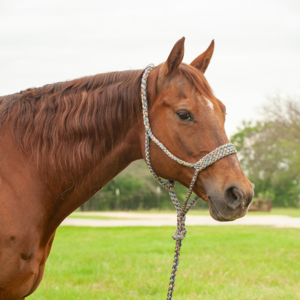 Flat Braid Halter w/ 9' Lead