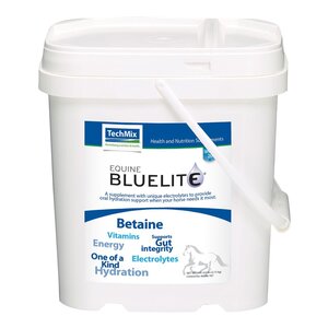 BlueLite Equine 6lb