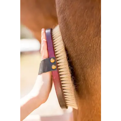 HorseHaus HorseHaus Horse Finishing Brush | Horse Body Brush "Gold"