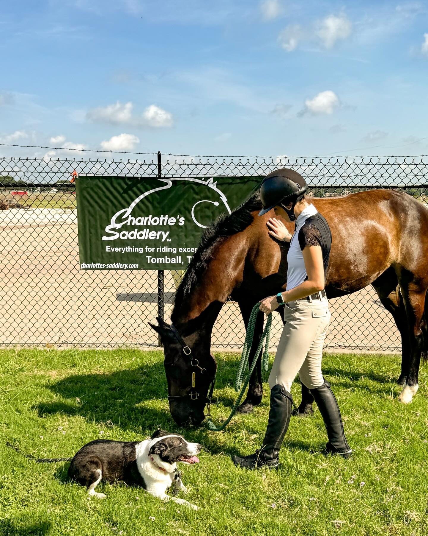 Charlotte's Saddlery banner 1