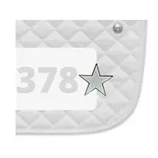 Dubois Cheval DBC Number Pin Charm