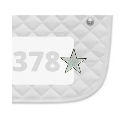 Dubois Cheval DBC Number Pin Charm